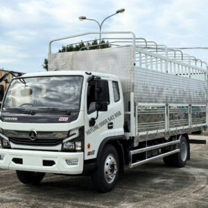 đồng vàng 800 thùng bạt